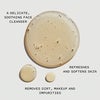 A delicate soothing face cleanser that refreshes and softens skin
